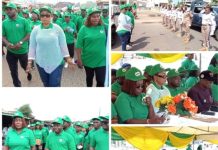 World Environment Day: Ekiti Advocates Use Of Indigenous Languages For Climate Change Awareness