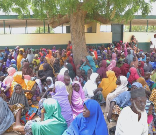 Zulum commends Tinubu for securing release of 434 Ngoshe captives