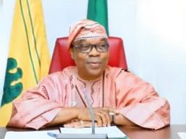 Honourable Minister of State for Foreign Affairs, Ambassador Sola Enikanolaiye