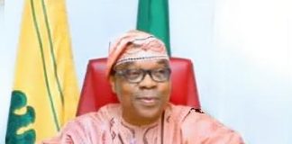 Honourable Minister of State for Foreign Affairs, Ambassador Sola Enikanolaiye
