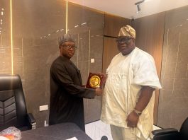 Prof. Olaopa Calls For Stronger Funding, Political Insulation Of Executive Commissions