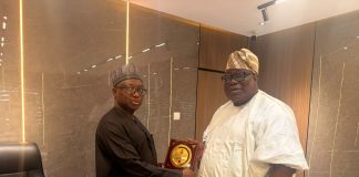 Prof. Olaopa Calls For Stronger Funding, Political Insulation Of Executive Commissions