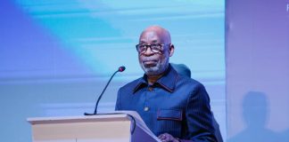 The Honorable Minister of Solid Minerals Development, Dr Dele Alake.
