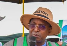Nigeria Accelerates Livestock Transformation with Strategic Investments in Edo