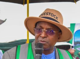Nigeria Accelerates Livestock Transformation with Strategic Investments in Edo