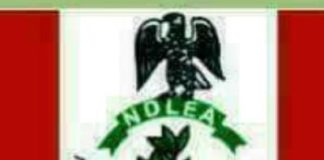 NDLEA Seizes 929.5kg Illicit Drugs, Secures 53 Convictions In Enugu