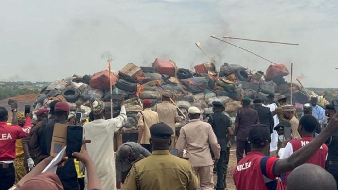Governor Yusuf Leads Destruction of 12.2 Tonnes of Illicit Drugs