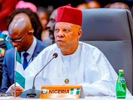 AT 69th ECOWAS MEETING: President Tinubu Demands United Front Against Afro-phobic Attacks In S'Africa