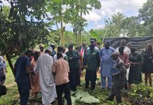 FG Rolls Out 1M Climate-smart Cocoa Seedlings To Boost Yields, Exports, Jobs FG Rolls Out 1M Climate-smart Cocoa Seedlings To Boost Yields, Exports, Jobs