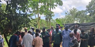 FG Rolls Out 1M Climate-smart Cocoa Seedlings To Boost Yields, Exports, Jobs