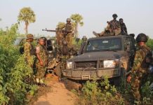 Troops Recover Cache of Arms, Arrest Suspected Criminal Logistics Kingpin in Imo Forest Raid Troops Recover Cache of Arms, Arrest Suspected Criminal Logistics Kingpin in Imo Forest Raid