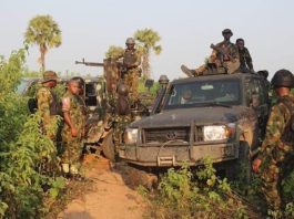Troops Recover Cache of Arms, Arrest Suspected Criminal Logistics Kingpin in Imo Forest Raid