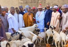 FG Targets Wudil Livestock Market as West Africa’s Model Hub