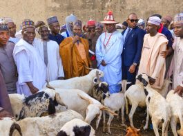 FG Targets Wudil Livestock Market as West Africa’s Model Hub