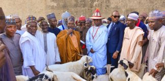 FG Targets Wudil Livestock Market as West Africa’s Model Hub