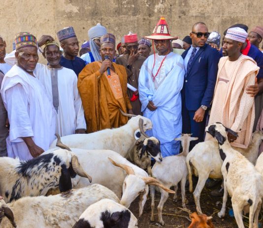 FG Targets Wudil Livestock Market as West Africa’s Model Hub