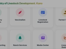 Kano Visit Day Two: Mukhtar Drives Digital Innovation, Leather Value Addition