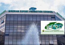 Enugu Positions For Export Boom As NEPC South-East Coordinator Begins Strategic Engagement Enugu Positions For Export Boom As NEPC South-East Coordinator Begins Strategic Engagement