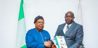 Government Intensifies Efforts On Accountability In Power Sector Through ICPC Collaboration
