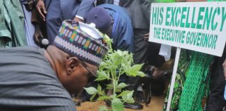 Zulum Rolls Out Free Gas Cylinders for 23,700 Teachers, Environmental Vanguards, as Minister Launches Four Million Seedlings Tree Planting Campaign
