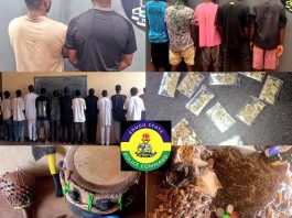 Enugu Police Nab 20 Suspected Cultists, Drug Dealers, Recover 22 Motorcycles, Tricycle