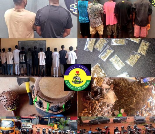 Enugu Police Nab 20 Suspected Cultists, Drug Dealers, Recover 22 Motorcycles, Tricycle