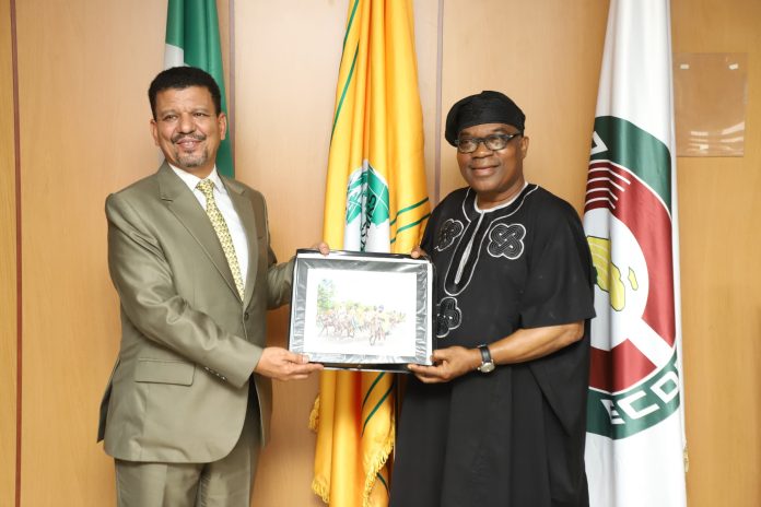 Nigeria Reaffirms Continued Support For The Sahrawi Arab Democratic Republic