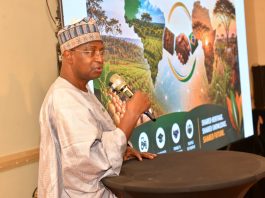 FG Advocates Stronger Africa–Brazil Partnership to Transform Livestock and Agrifood Systems