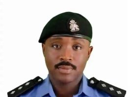 Benue Police Command appoint New Police Public Relations Officer