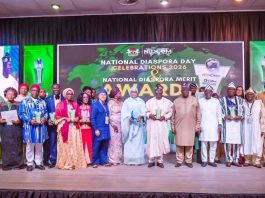 FG Commends Nigerian Health Professionals in Diaspora for Strengthening Healthcare Delivery