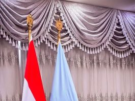 Matawalle Leads Delegation To Egyptian Defence Industry Facilities