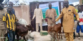 FG Empowers Women And Youth In Jigawa With 100 Bullocks, Heifers And Livestock Production Ancillaries