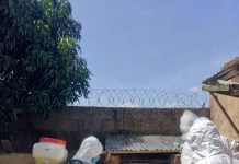 FG Supports Farmers Affected By Swine Fever In Plateau State