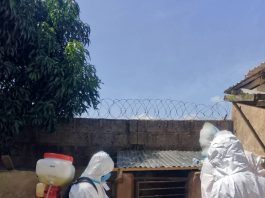FG Supports Farmers Affected By Swine Fever In Plateau State