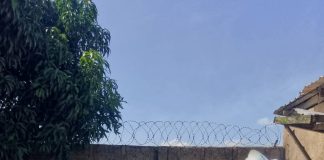 FG Supports Farmers Affected By Swine Fever In Plateau State