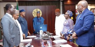 NEC Approves Refinancing Of $`3.3bn Project Gazelle To Optimise Cost, Unlock Additional Liquidity