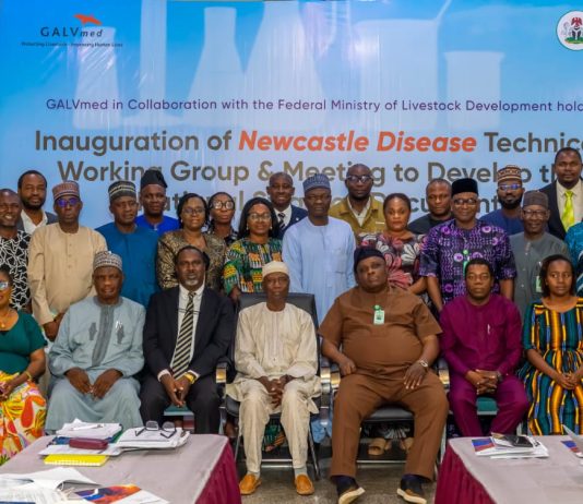 Livestock Ministry Inaugurates TWG for Newcastle Disease, develops National Strategy Document
