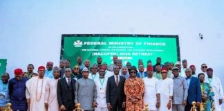 Oyedele Calls For Stronger Fiscal Federalism, Revenue Growth