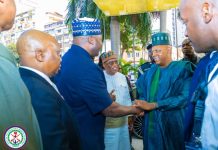 FG Committed To Nationwide Security, Safeguarding Diaspora Visits — Defence Minister