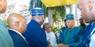 FG Committed To Nationwide Security, Safeguarding Diaspora Visits — Defence Minister
