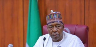 Governor Babagana Umara Zulum