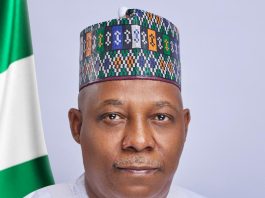 His Excellency, the Vice President of the Federal Republic of Nigeria, Senator Kashim Shettima