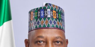 His Excellency, the Vice President of the Federal Republic of Nigeria, Senator Kashim Shettima