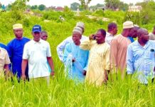 NASENI Deploys Solar Irrigation Systems to Transform Agriculture in Kano NASENI Deploys Solar Irrigation Systems to Transform Agriculture in Kano