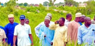 NASENI Deploys Solar Irrigation Systems to Transform Agriculture in Kano