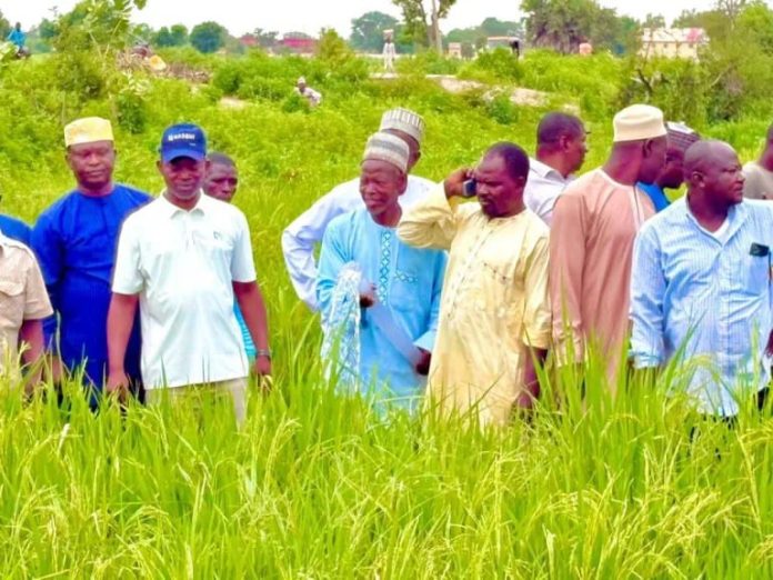 NASENI Deploys Solar Irrigation Systems to Transform Agriculture in Kano
