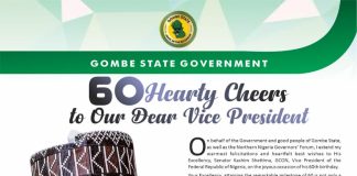 Northern Governors Celebrate Shettima at 60, Hail Vice President’s Distinguished Service to Nigeria