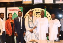 FG Targets Stronger Real Estate Sector Contribution to GDP FG Targets Stronger Real Estate Sector Contribution to GDP