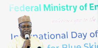 FG Charges Citizens To Make Clean Air A Central Element Of Nigeria's Environmental And Development Agenda