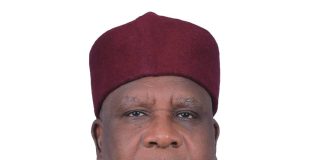 NC/CEO AUDA-NEPAD/ APRM Nigeria. *Hon. Jabiru Salisu Abdullahi*